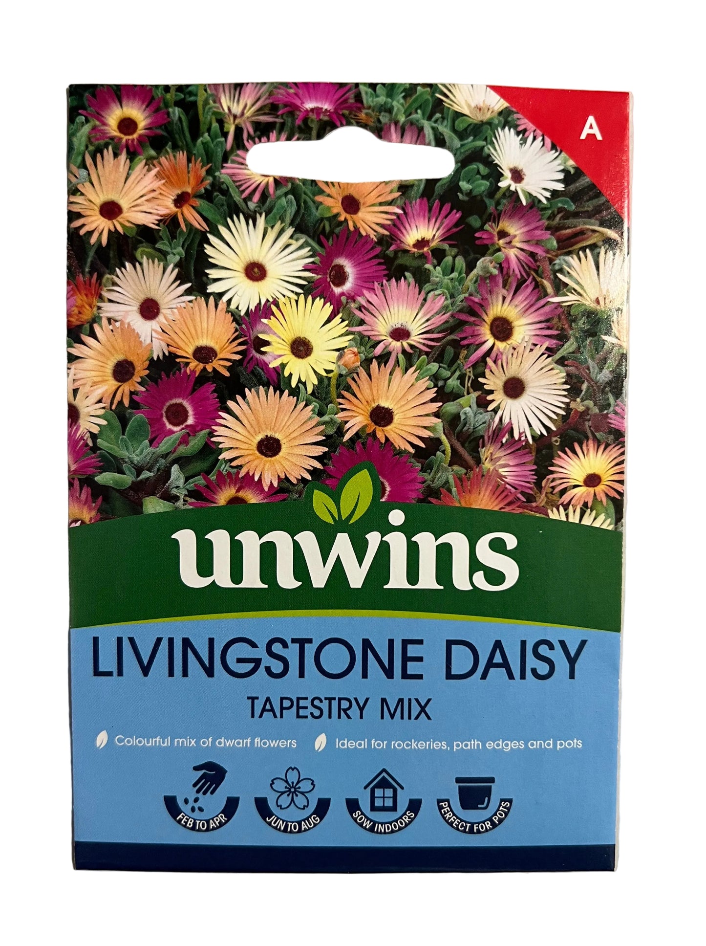 Unwins Livingstone Daisy Tapestry Mix – Flower Seeds