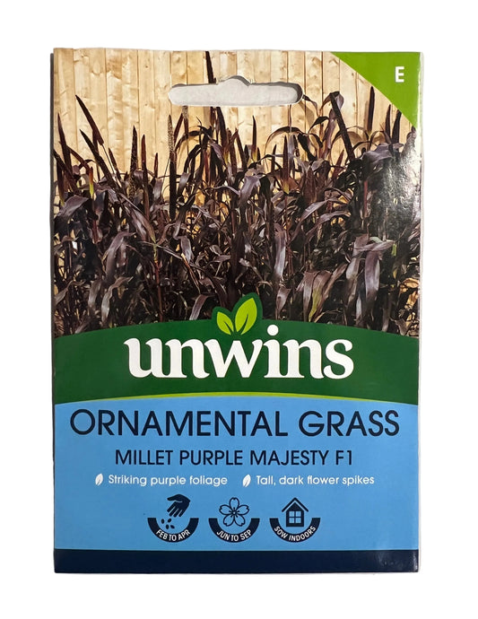 Unwins Ornamental Grass Millet Purple Majesty F1 – Flower Seeds