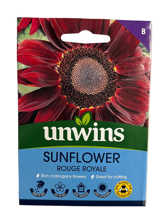 Unwins Sunflower Rouge Royal – Flower Seeds