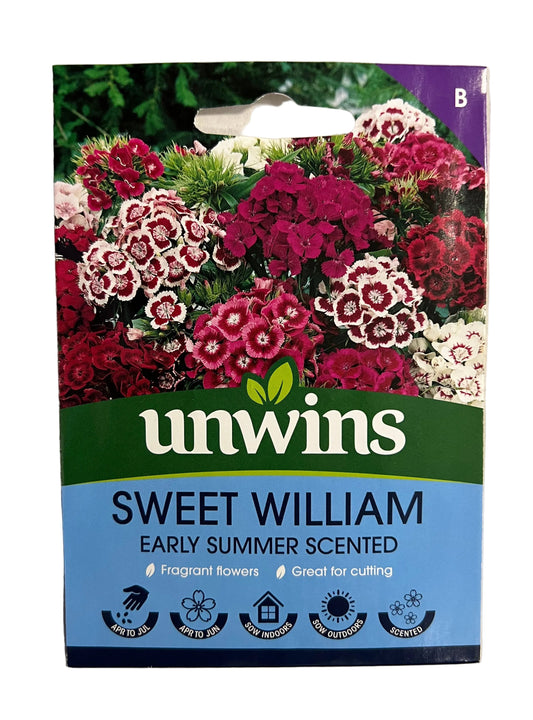Unwins Sweet William Early Summer Scented – Flower Seeds