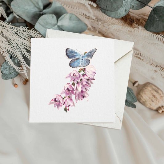 Butterfly Greetings Card | Butterfly Card | Floral Card