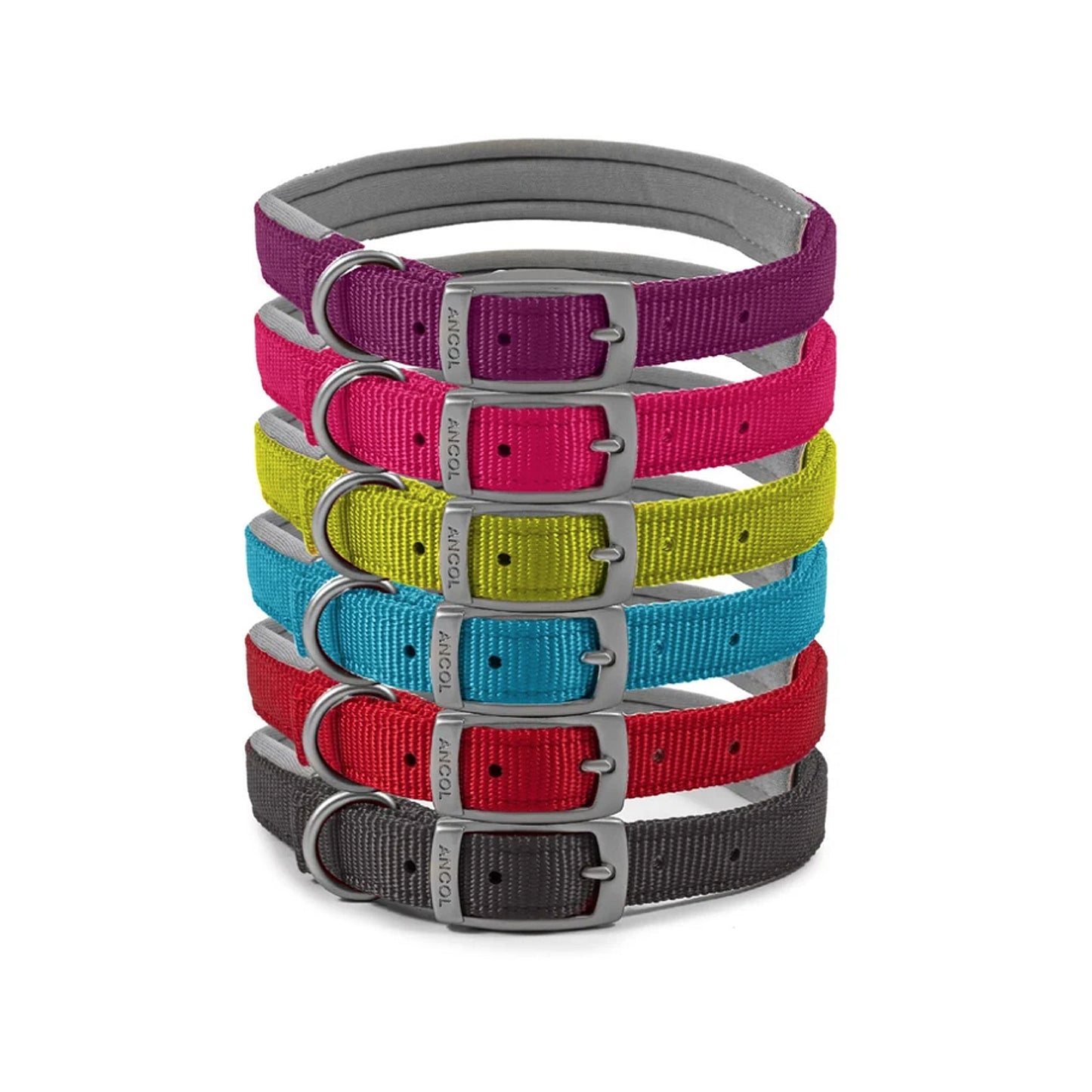 Ancol Buckle Padded Weather proof Viva Dog Collar