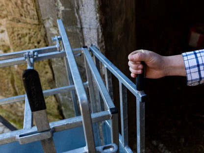 Bateman 800-51 Digital Lamb Weigh 300KG Capacity