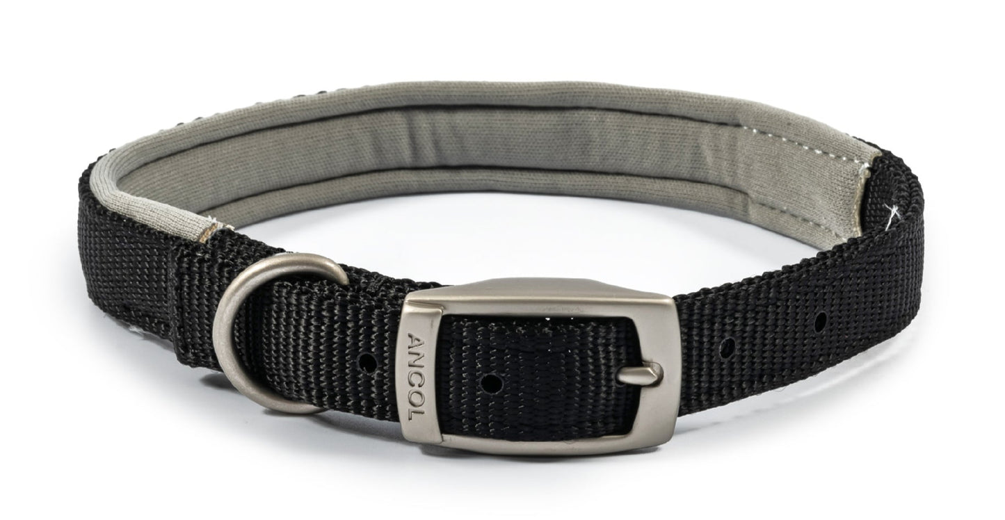 Ancol Buckle Padded Weather proof Viva Dog Collar