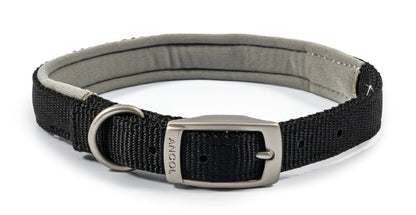 Ancol Buckle Padded Weather proof Viva Dog Collar