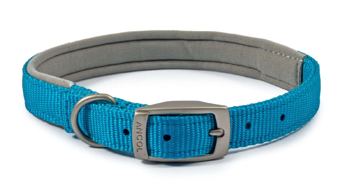 Ancol Buckle Padded Weather proof Viva Dog Collar