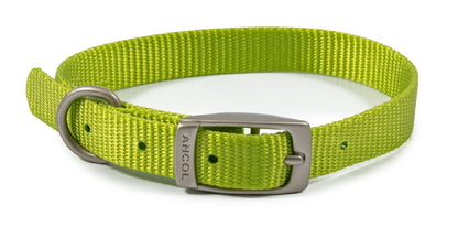 Ancol Viva Buckle Dog Collar multiple sizes and colours