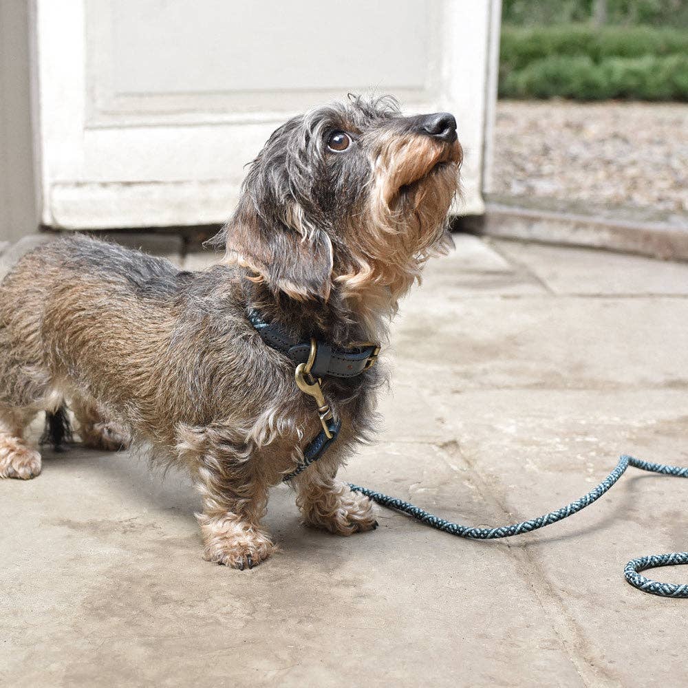 Teal Rope Dog Collar