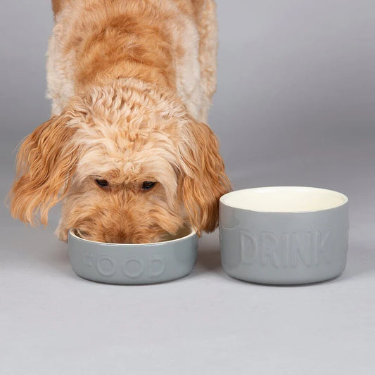 Scruffs Classic Food Bowl