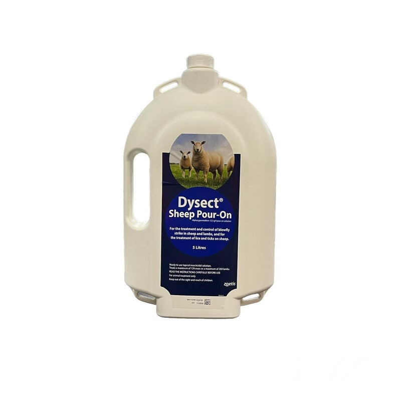 Dysect Sheep 5 Litre