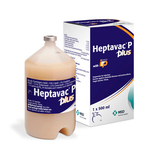 Heptavac-P Plus