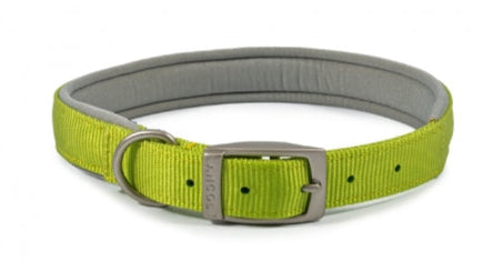 Ancol Buckle Padded Weather proof Viva Dog Collar