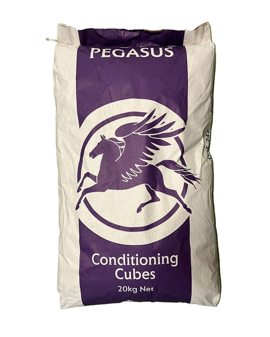 Pegasus Horse Conditioning Cubes 20kg
