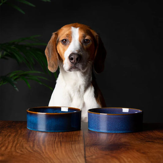 Scruffs Glaze Food Bowl