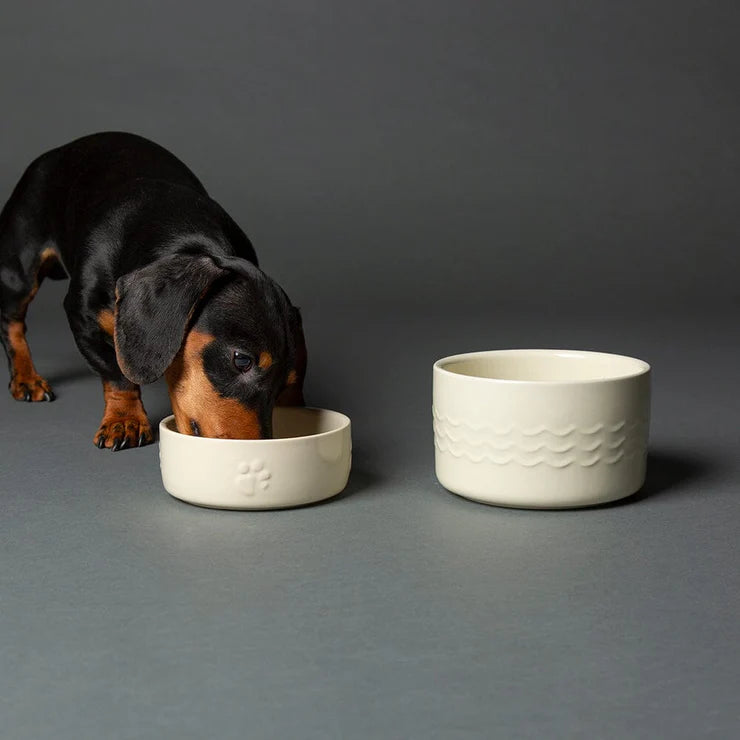 Scruffs Icon Food Bowl Cream