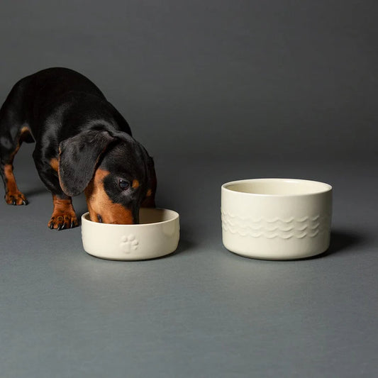 Scruffs Icon Food Bowl Cream