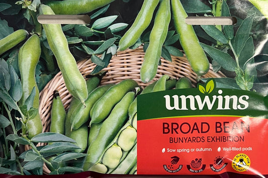 Unwins Broad Bean Bunyards Exhibition – Vegetable Seeds