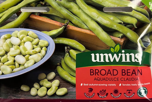 Unwins Broad Bean Aquadulce Claudia – Vegetable Seeds