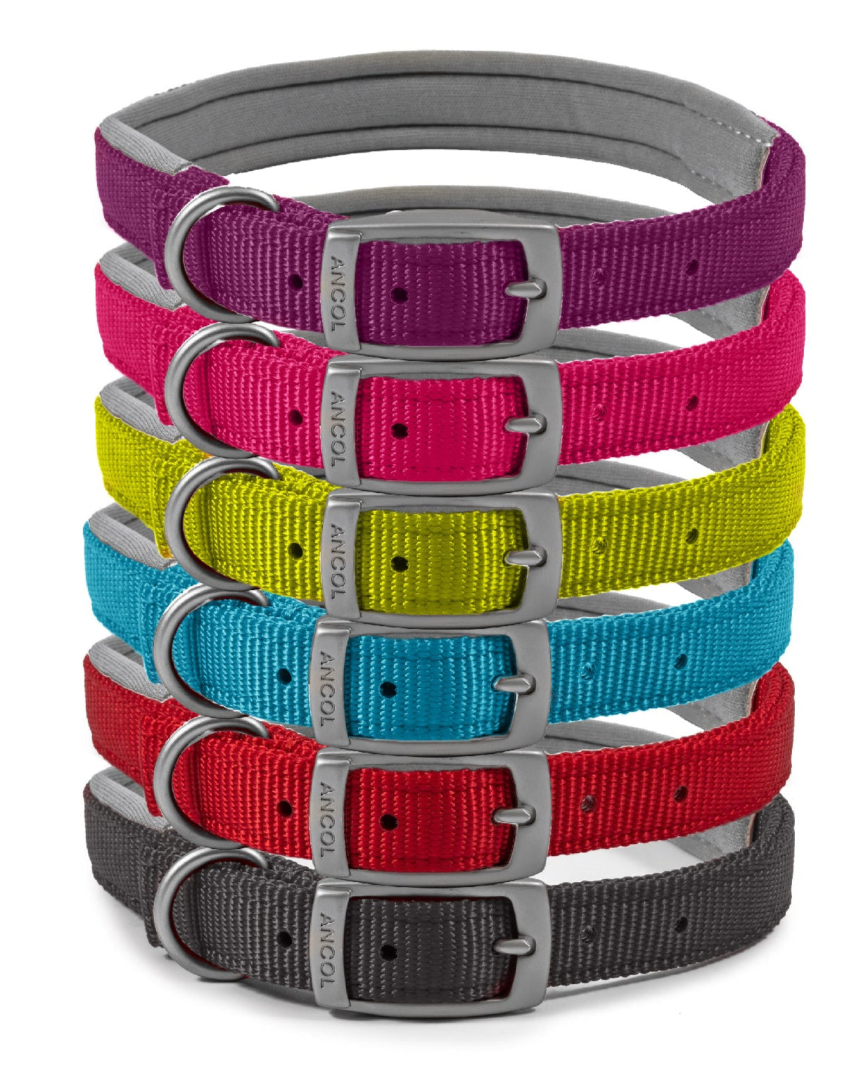 Ancol Buckle Padded Weather proof Viva Dog Collar