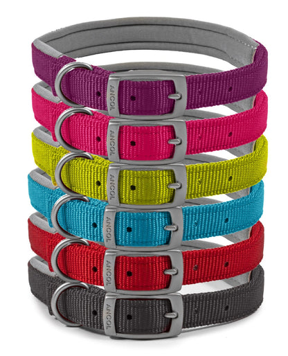 Ancol Buckle Padded Weather proof Viva Dog Collar
